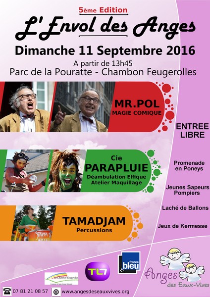 affiche Envol 2016 1